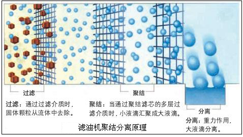 http://www.txtbiu.cn/